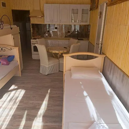 Apartment Vip Antique A1